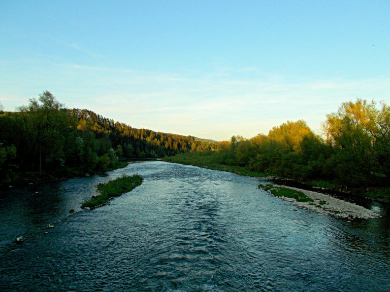 Upper Dunajec river
