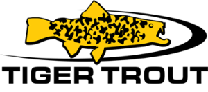 Tiger Trout